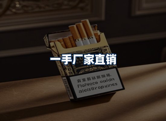 专业团队办公环境
